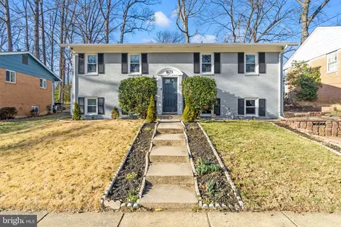 803 Orange Dr, Silver Spring, MD 20901