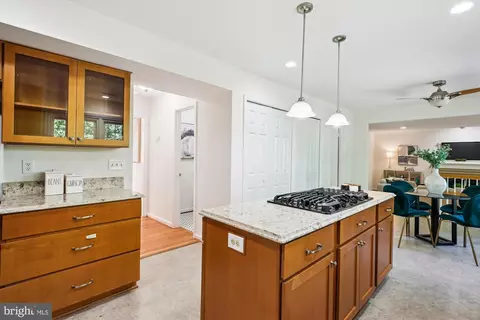 1729 Hutchinson Ln, Silver Spring, MD 20906 photo 14