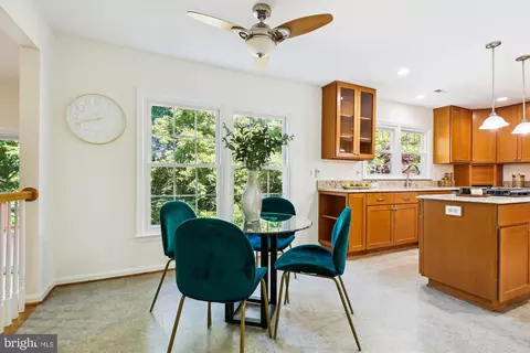 1729 Hutchinson Ln, Silver Spring, MD 20906 photo 15