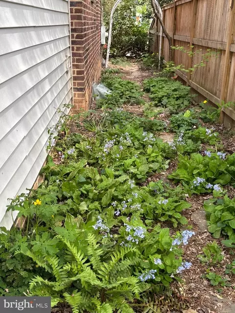 Exterior - 10402 Hayes Ave, Silver Spring, MD 20902 photo 10 of 11