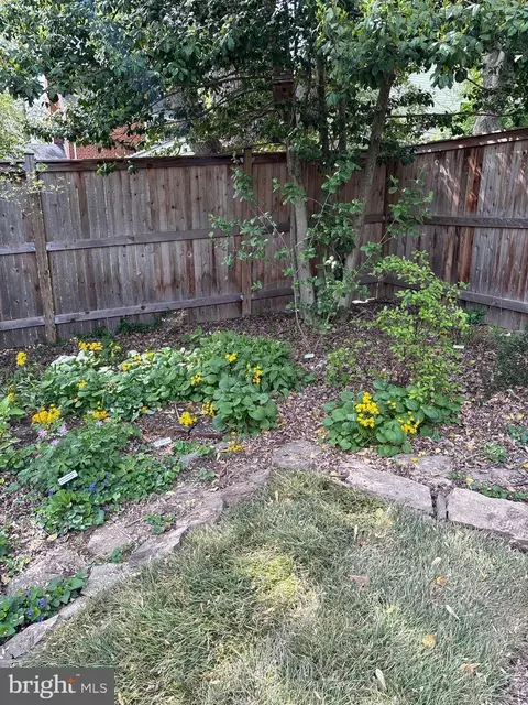 Exterior - 10402 Hayes Ave, Silver Spring, MD 20902 photo 11 of 11