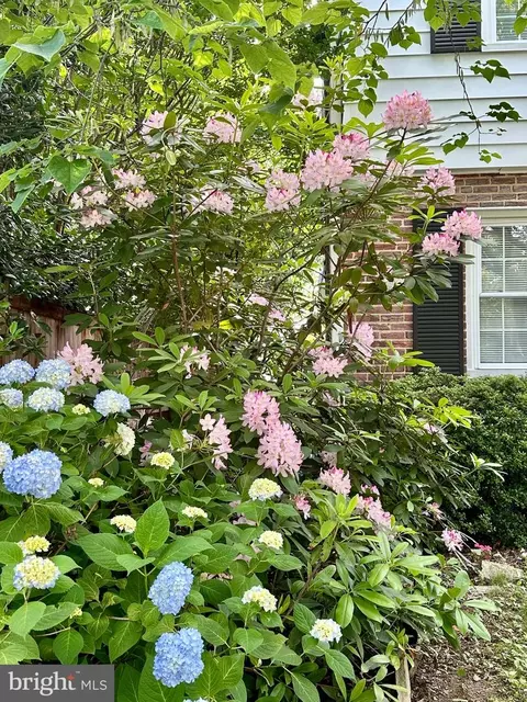 Exterior - 10402 Hayes Ave, Silver Spring, MD 20902 photo 3 of 11