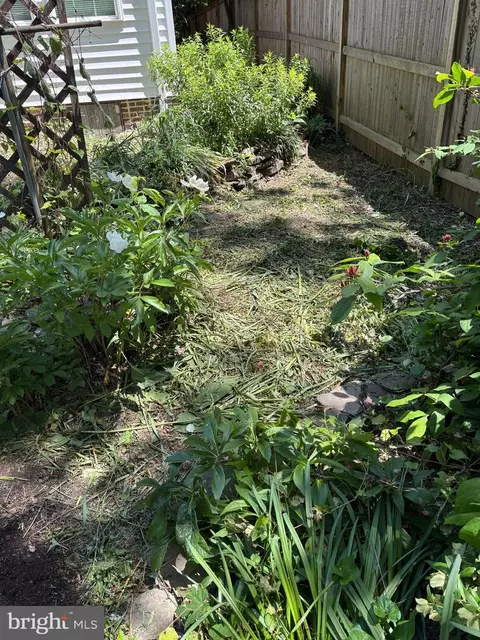 Exterior - 10402 Hayes Ave, Silver Spring, MD 20902 photo 9 of 11
