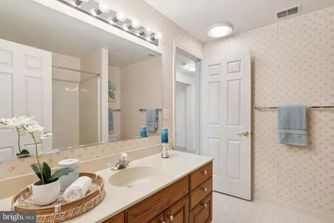 Bath - 14910 Spring Meadows Dr, Darnestown, MD 20874 photo 7 of 7