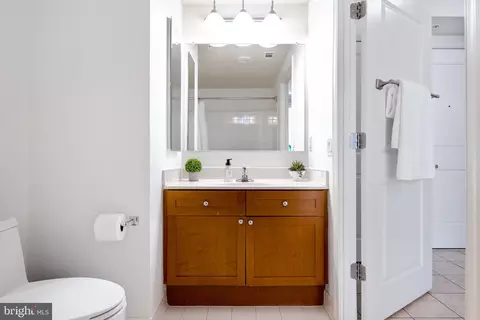 Bath - 930 Wayne Ave #810, Silver Spring, MD 20910 photo 3 of 3