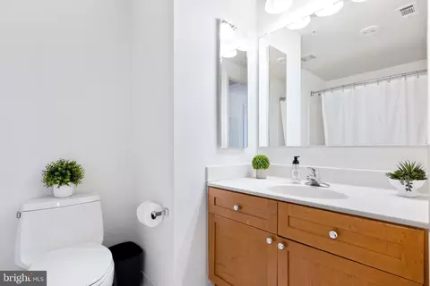 Bath - 930 Wayne Ave #810, Silver Spring, MD 20910 photo 2 of 3