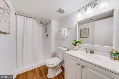120 Snowy Owl Dr, Silver Spring, MD 20901 photo 28