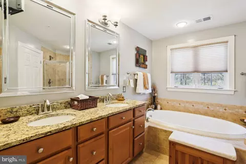Bath - 1711 Chiswick Ct, Silver Spring, MD 20904 photo 2 of 4