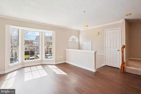 2317 Massanutten Dr, Silver Spring, MD 20906 photo 3