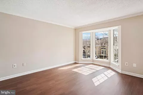 2317 Massanutten Dr, Silver Spring, MD 20906 photo 4