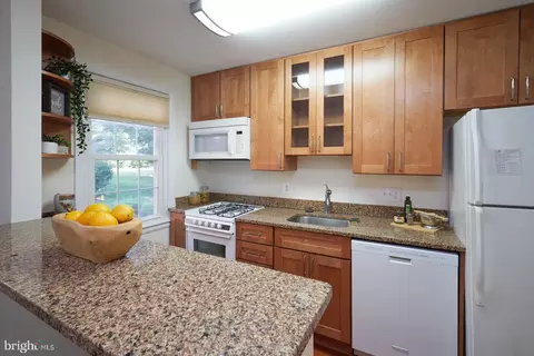 2215 Washington Ave #103, Silver Spring, MD 20910 photo 8