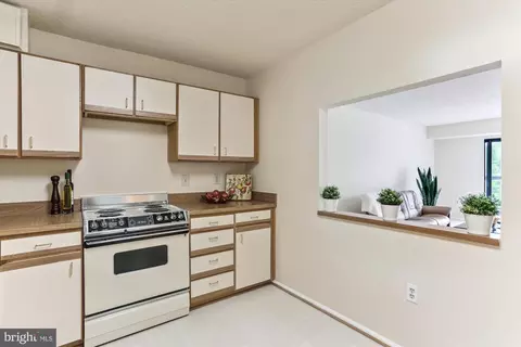 15101 Interlachen Dr #1-424, Silver Spring, MD 20906 photo 10