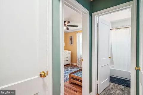 2901 Collins Ave, Silver Spring, MD 20902 photo 11