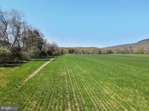 Undisclosed, Dickerson, MD 20842 photo 5