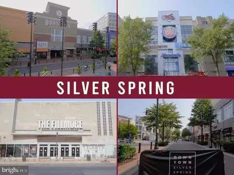 Other - 10202 Conover Dr, Silver Spring, MD 20902 photo 11 of 11