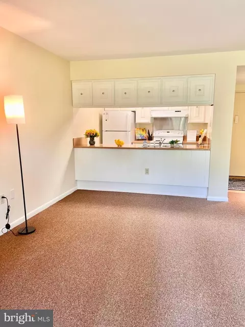 3350 Chiswick Ct #57-1C, Silver Spring, MD 20906 photo 5