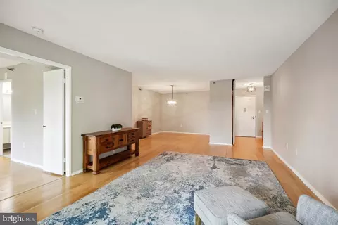 15100 Interlachen Dr #4-522, Silver Spring, MD 20906 photo 4
