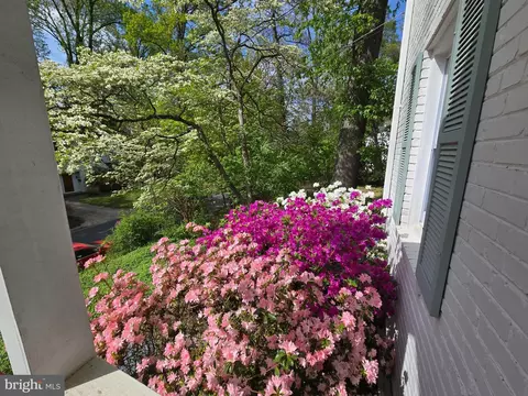 8713 Reading Rd, Silver Spring, MD 20901 photo 44