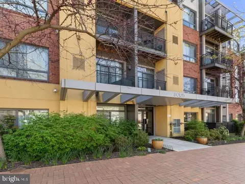 8005 13th St #405, Silver Spring, MD 20910 photo 1