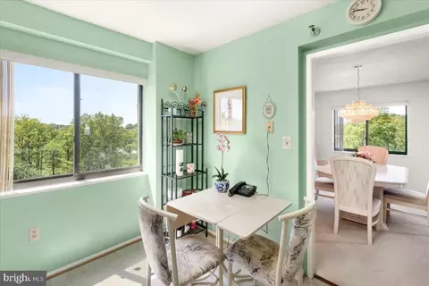 15107 Interlachen Dr #2-625, Silver Spring, MD 20906 photo 13