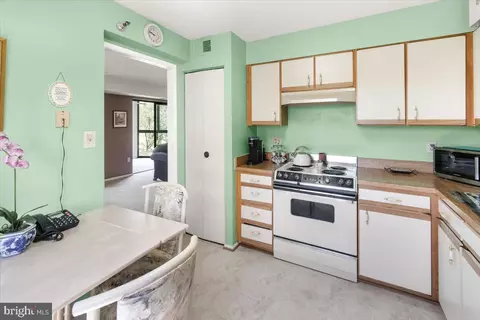 15107 Interlachen Dr #2-625, Silver Spring, MD 20906 photo 14