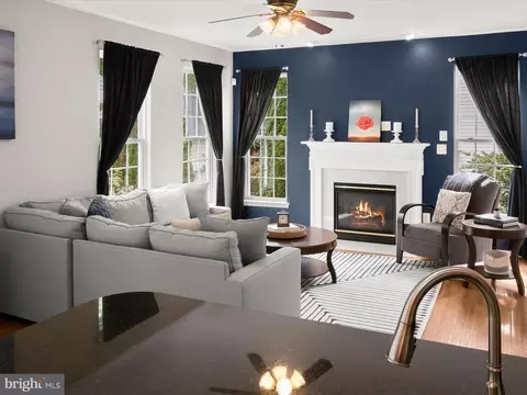 Living - 9808 Darcy Forest Dr, Silver Spring, MD 20910 photo 4 of 8