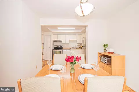 3830 Tremayne Ter, Silver Spring, MD 20906 photo 10