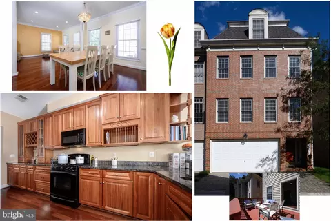 12013 Montrose Park, North Bethesda, MD 20852