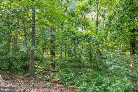1316 Sarah Dr, Silver Spring, MD 20904 photo 46