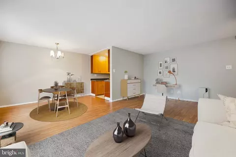 Living - 8601 Manchester Rd #319, Silver Spring, MD 20901 photo 4 of 8