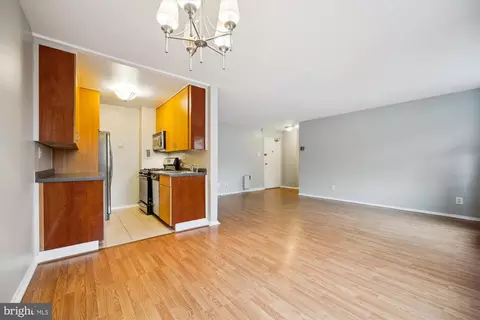 Living - 8601 Manchester Rd #319, Silver Spring, MD 20901 photo 5 of 8