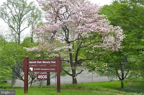 Other - 10105 Meredith Ave, Silver Spring, MD 20910 photo 19 of 21