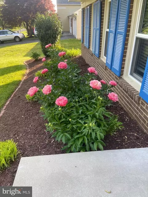 15204 Watergate Rd, Silver Spring, MD 20905 photo 3
