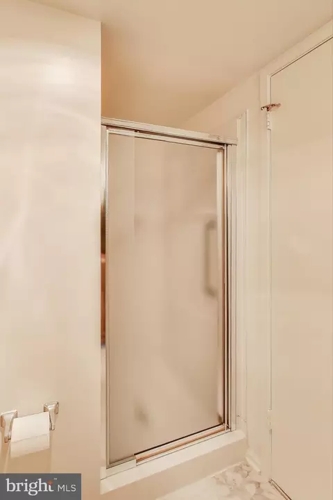 15100 Interlachen Dr #115, Silver Spring, MD 20906 photo 32
