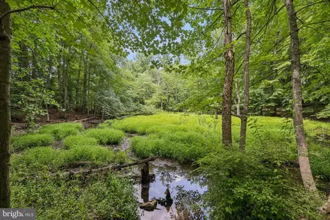 Other - 13508 Rippling Brook Dr, Silver Spring, MD 20906 photo 9 of 9