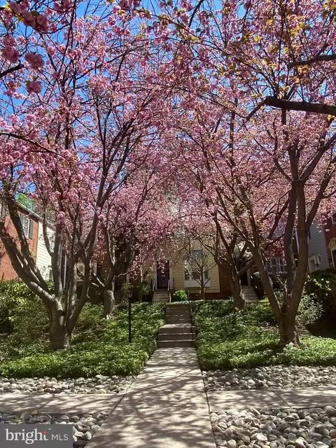 4833 Willett Pkwy #78, Chevy Chase, MD 20815