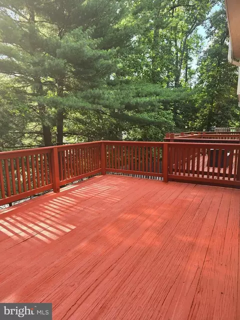 14 Long Green Ct, Silver Spring, MD 20906 photo 13