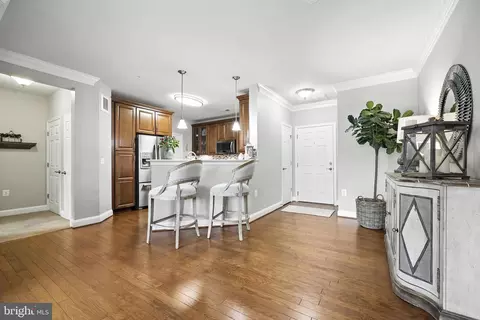 3910 Doc Berlin Dr #21, Silver Spring, MD 20906 photo 12