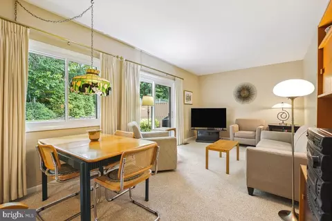 217 Pewter Ln, Silver Spring, MD 20905 photo 10