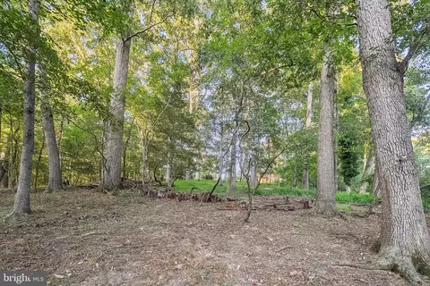 Exterior - 12509 White Dr, Silver Spring, MD 20904 photo 7 of 13