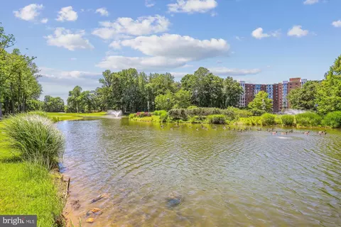 15107 Interlachen Dr #2-220, Silver Spring, MD 20906 photo 43