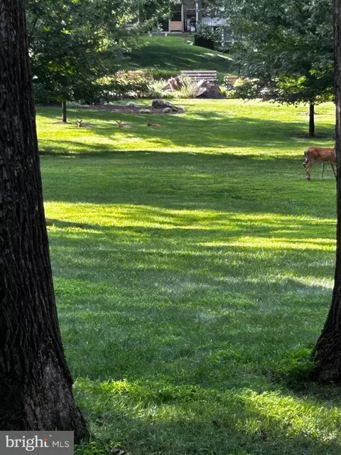 3301 S Leisure World Blvd #99-1G, Silver Spring, MD 20906