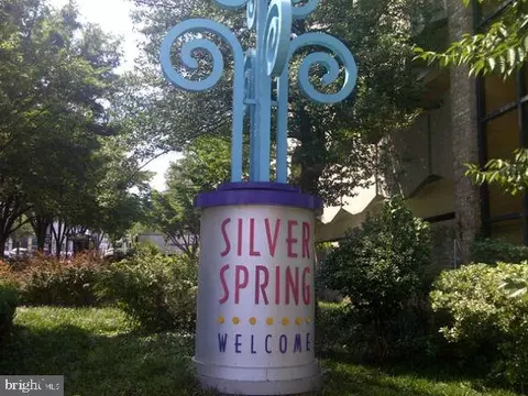 1900 Lyttonsville Rd #115, Silver Spring, MD 20910 photo 31
