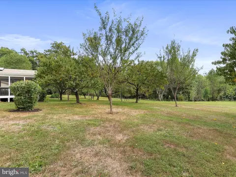 22119 Dickerson School Rd, Dickerson, MD 20842 photo 37