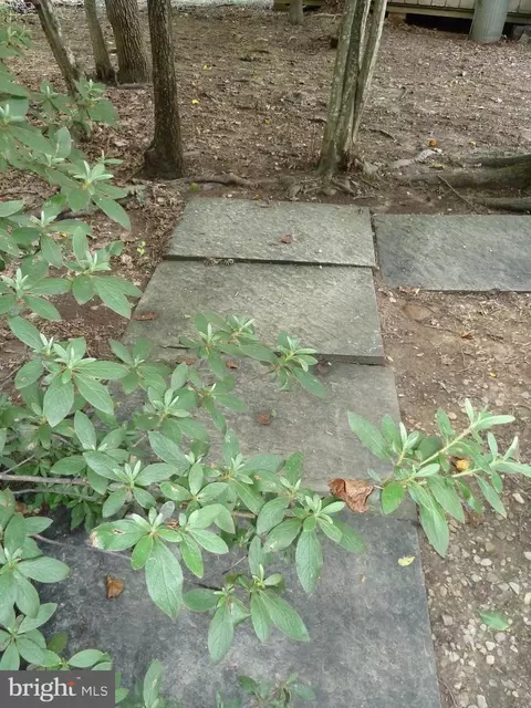 Exterior - 3404 Olive Branch Dr, Silver Spring, MD 20904 photo 19 of 24