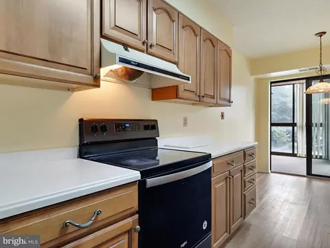 15115 Interlachen Dr #3-209, Silver Spring, MD 20906 photo 15