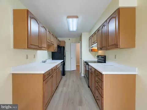 15115 Interlachen Dr #3-209, Silver Spring, MD 20906 photo 18