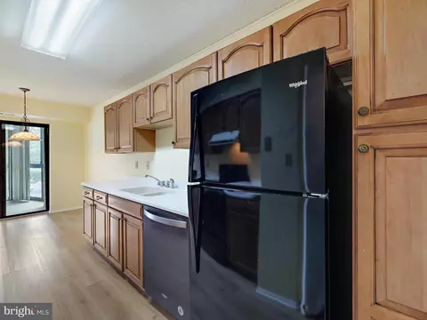 15115 Interlachen Dr #3-209, Silver Spring, MD 20906 photo 16