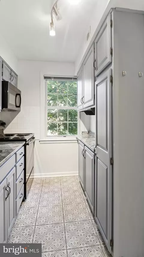2211 Washington Ave #201-W, Silver Spring, MD 20910 photo 6
