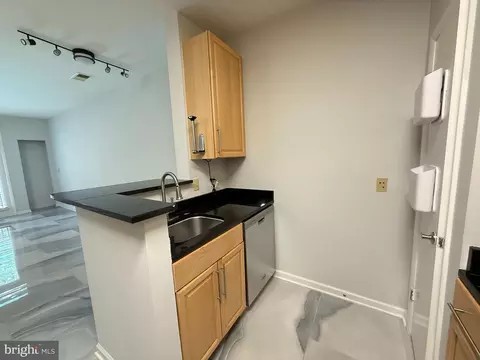 1201 E West Hwy #228, Silver Spring, MD 20910 photo 10